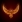 Phoenix_kc