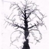 mpegi